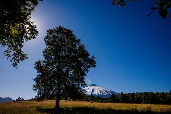 Terreno en Pucón con naturaleza nativa y vista al volcán Villarrica