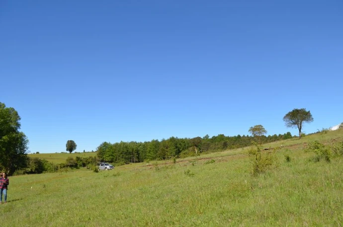 Loteo en Pucón con vegetación nativa y áreas verdes amplias