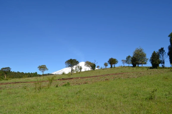 Loteo en Pucón con vegetación nativa y áreas verdes amplias
