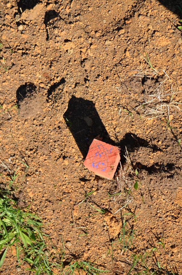 Terreno en Pucón con naturaleza nativa y vista al volcán Villarrica
