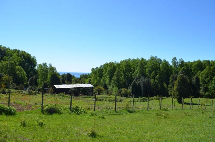 Terreno en Pucón con naturaleza nativa y vista al volcán Villarrica